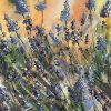 Lavenders original painting staffordshire artist