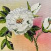 Original oil white roses Sheena Barry